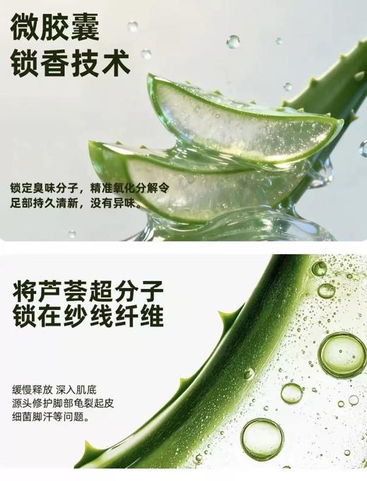 【棉语日记--10A玫瑰芦荟精油润肤袜】甄选新疆棉面料，吸湿透气速干不闷汗，微囊缓释分子，不紧绷不勒痕，骨缝头设计贴合脚型，男女同款均码，一年四季舒适穿搭 商品图9