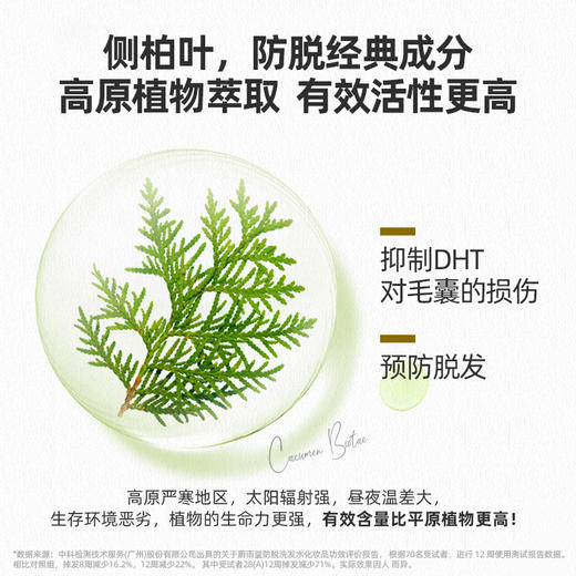防脱固发！【超值赠品】蔚雨堂 防脱洗发水/防脱发头皮精华/银耳多肽护发素 植物清香 垂顺丝滑 商品图4