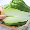 云南佛手瓜 | 农户自种现摘现发 果形饱满 色泽翠绿 脆嫩多汁 煎炖焖煮炒皆宜 商品缩略图7