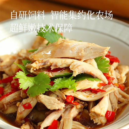 【无抗鸡腿琵琶腿】全程无抗鸡 小孩/老人/宝妈/健身党都适配 煎炒烹炸/辅食/轻食好搭子 1袋3-4个 商品图5