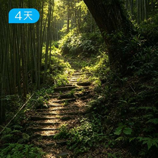 侗寨黔东南｜千年侗寨，时光遗珍，4天3晚深度人文 商品图3