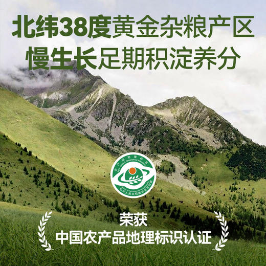 芦芽谷匠有机燕麦米 商品图1