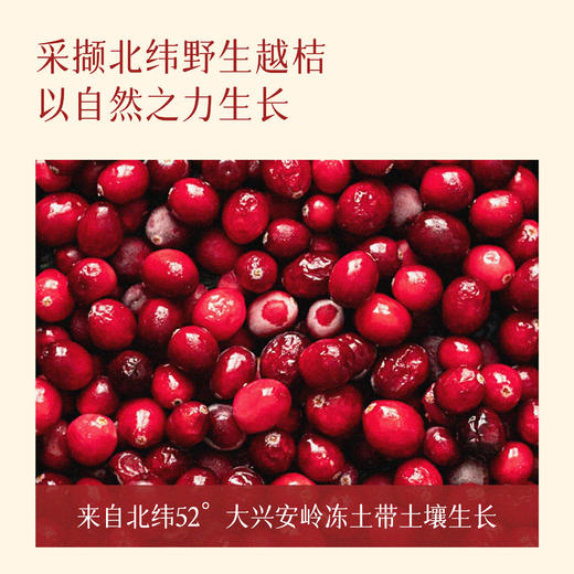 全食物日记×妆食记 越桔复合浓缩液 210mL（30mL×7袋） 商品图2