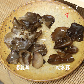 生态段木木耳（成都仓库-顺丰快递） | 100g/袋，来自四川巴中，生产者：谭成龙【合作生产，公平贸易】