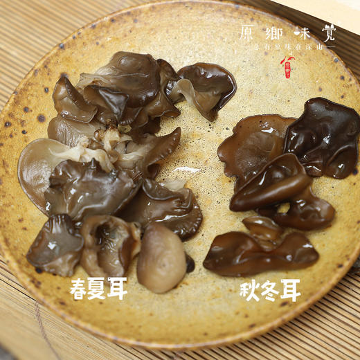 生态段木木耳（成都仓库-顺丰快递） | 100g/袋，来自四川巴中，生产者：谭成龙【合作生产，公平贸易】 商品图0