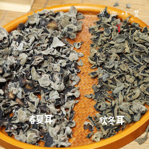 生态段木木耳（成都仓库-顺丰快递） | 100g/袋，来自四川巴中，生产者：谭成龙【合作生产，公平贸易】 商品图1