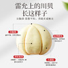 雷允上直营|川贝粉10g/袋 四川川贝 粉质细腻 商品缩略图3