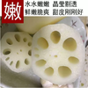 【YMHR】莲藕  凉拌生吃 商品缩略图1