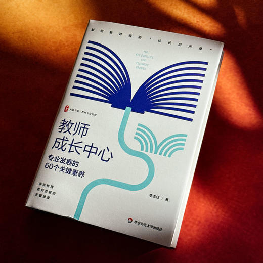 教师成长中心 专业发展的60个关键素养 大夏书系 教师专业发展 特级教师李志欣 商品图4