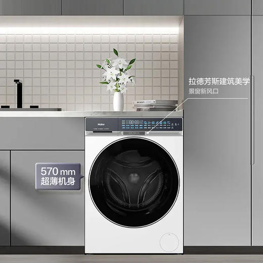 海尔（Haier）洗衣机 XQG120-BSNEG87WU1 商品图2