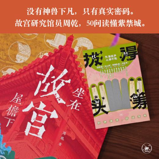 坐在故宫屋檐下：图解紫禁城五十问-Z爱历史专属 商品图1