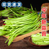 【YMHR】蒜薹  当季新鲜 商品缩略图0