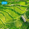 侗寨黔东南｜千年侗寨，时光遗珍，4天3晚深度人文 商品缩略图1