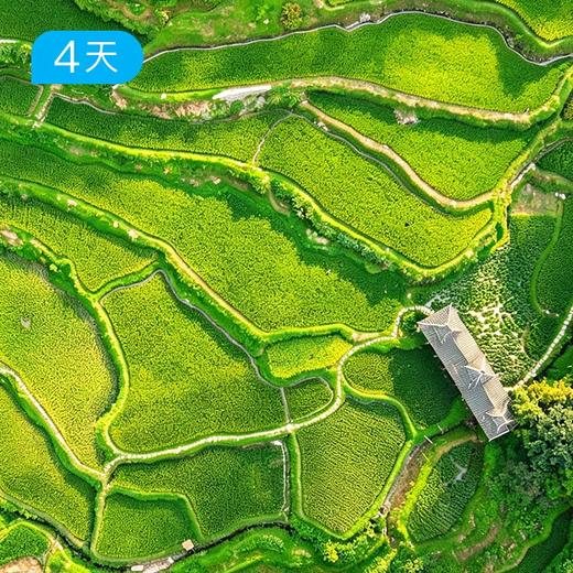 侗寨黔东南｜千年侗寨，时光遗珍，4天3晚深度人文 商品图1