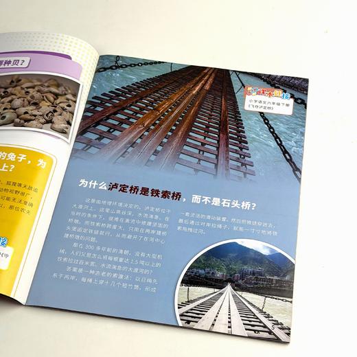 【9-12岁适读】《天天爱科学》（科学课堂）杂志 紧扣新课标 阅读即是复习 商品图4