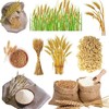 野蛮果果五白谷物即食麦片 商品缩略图5