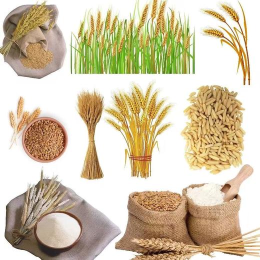 野蛮果果五白谷物即食麦片 商品图5