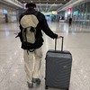 chao赞中性风格 男女同款米灰撞色双肩包 多功能大书包背包 商品缩略图2