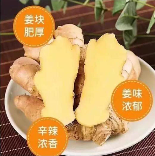 【YMHR】生姜  正宗干黄姜 商品图2