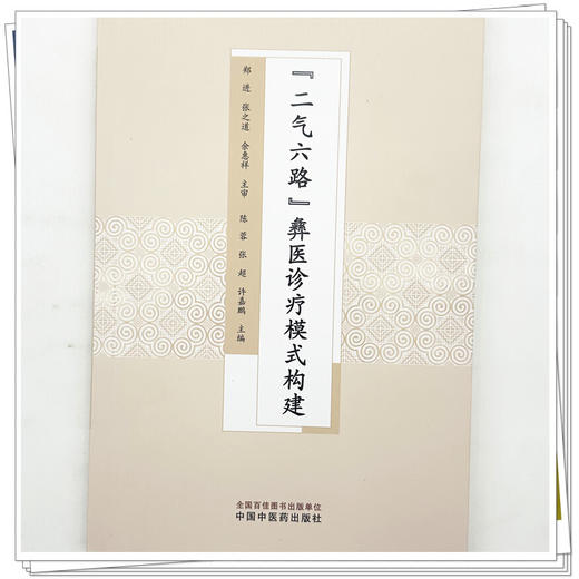 “二气六路”彝医诊疗模式构建 陈蓉 张超 许嘉鹏 主编 中国中医药出版社 商品图3