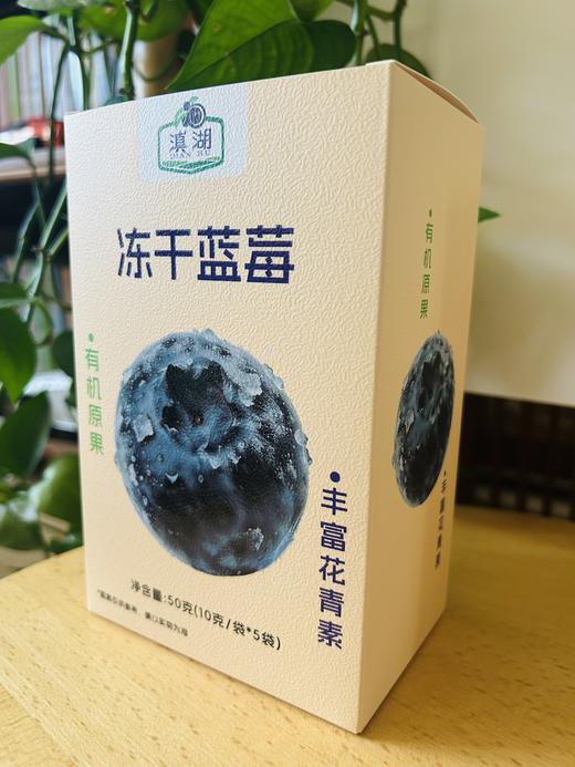 有机冻干蓝莓  17g/袋*5袋 商品图2