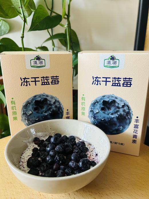 有机冻干蓝莓  17g/袋*5袋 商品图1