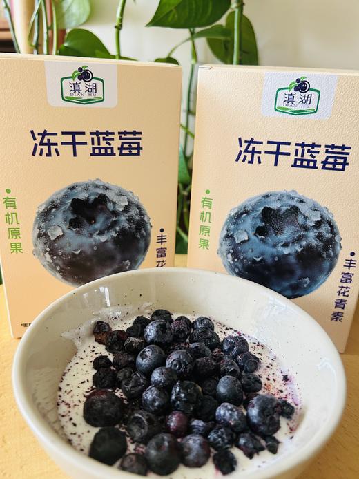 有机冻干蓝莓  17g/袋*5袋 商品图0