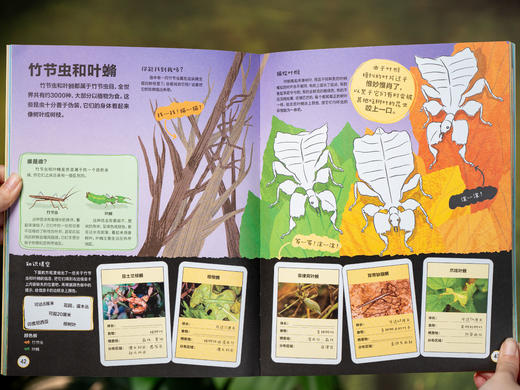 《DK玩出超强科学脑》（全6册）|全球科普权威，DK出品，史无前例科普+游戏学玩一体，600+互动、2500+知识点，孩子刷2遍不过瘾，科学素养提升、认知猛涨 商品图8