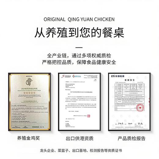 【99元两只起】生态清远母鸡/小公鸡/盐焗鸡 138天清远鸡 甄选纯种清远鸡苗，饲养于原产地的天农6优农场 商品图8