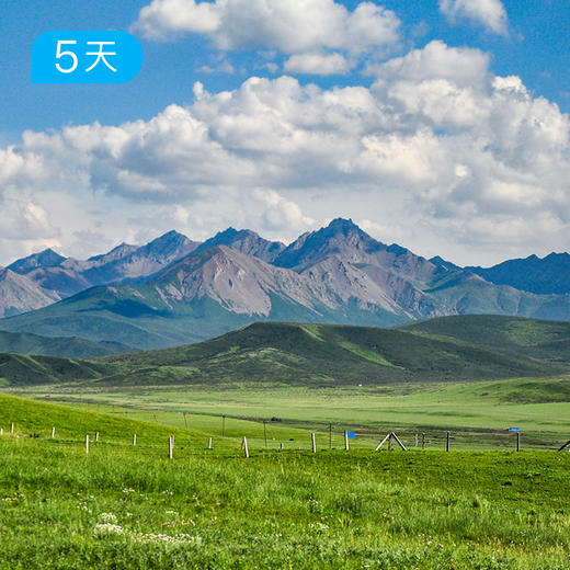 祁连山开湖节｜66公里轻装徒步 走进最美花季 全年仅此一期 5日 商品图7