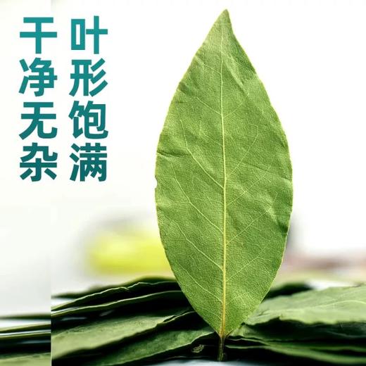 【YMHR】香叶  优质香辛料 商品图1