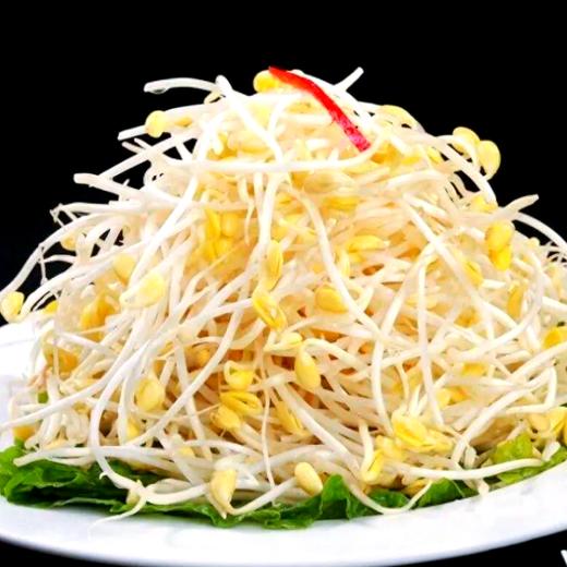 【YMHR】黄豆芽  自然泡发 商品图2