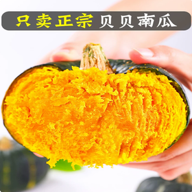 【YMHR】贝贝南瓜  香甜板栗味