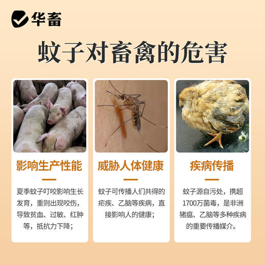 蚊香棒香40根 一晚一根 孕畜可用z 商品图1