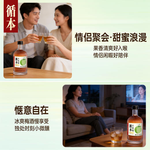 【整箱装】（再赠三瓶）循本青梅酒 12度 原味 300ml*6瓶 新品限时特惠百年糊涂出品 商品图4