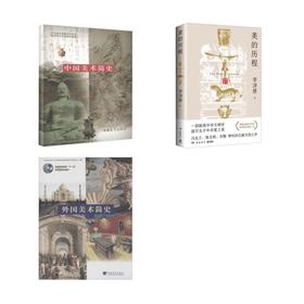 美的历程+中国美术简史+外国美术简史