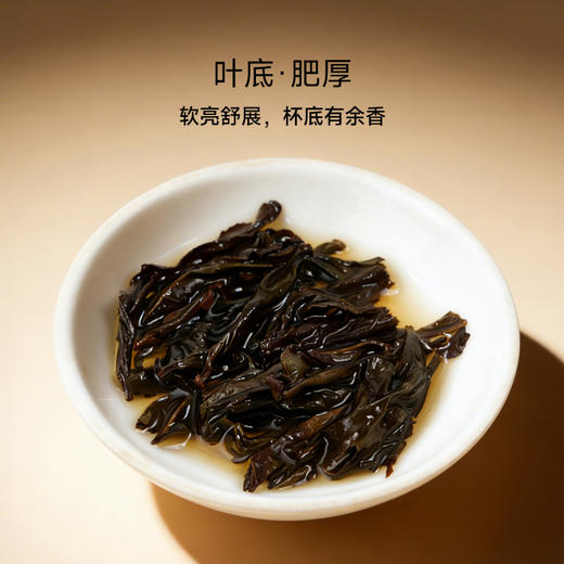 华祥苑-235.2g星时光水很仙岩茶水仙 商品图4