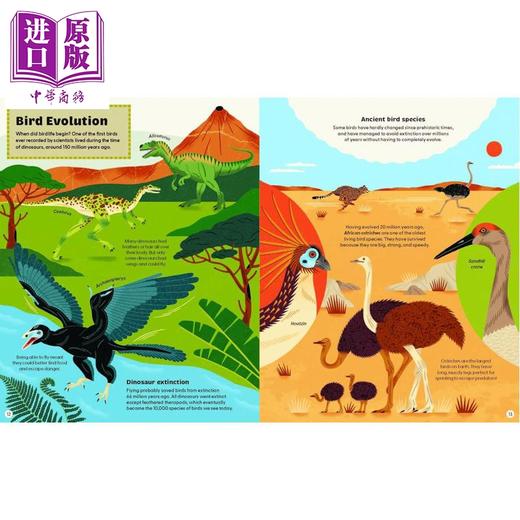 【中商原版】鸟类的构成要素 What Makes a Bird 英文原版 儿童科普绘本 鸟类世界图解指南 自然科学读物 进口童书 精装 商品图3