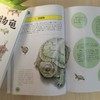 养好宠物龟手绘图鉴 商品缩略图3