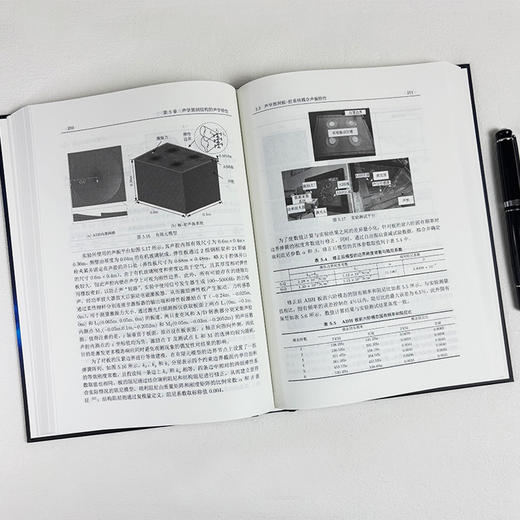 声学黑洞及其在减振降噪中的应用 季宏丽等 9787030812322 商品图4