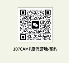 测试下 垂柳