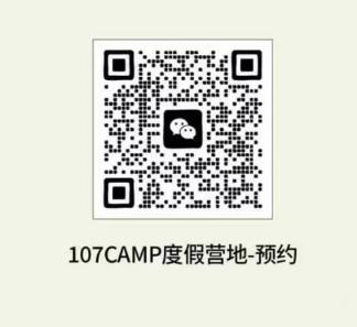 测试下 垂柳 商品图0