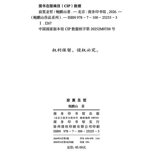 寂寞圣哲(鲍鹏山作品系列) 商品图1