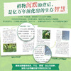 静默的斗士 植物的生存智慧 商品缩略图2