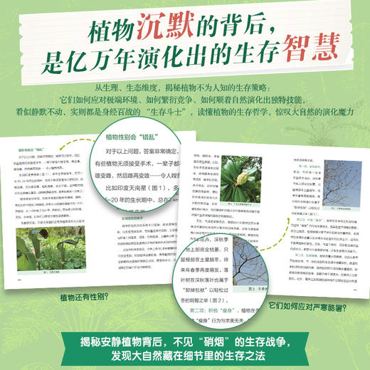 静默的斗士 植物的生存智慧 商品图2
