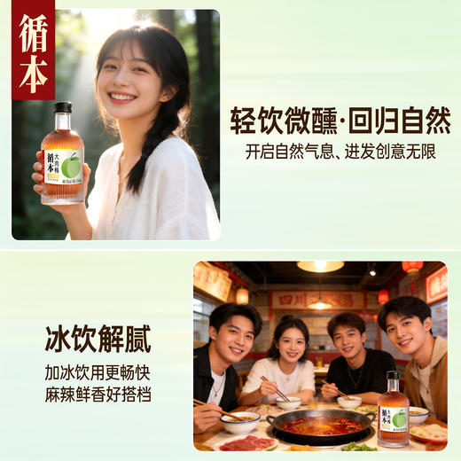 【整箱装】（再赠三瓶）循本青梅酒 12度 原味 300ml*6瓶 新品限时特惠百年糊涂出品 商品图6