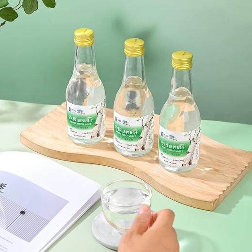 内蒙古森工集团冷极白桦树汁236ml*6瓶 商品图3