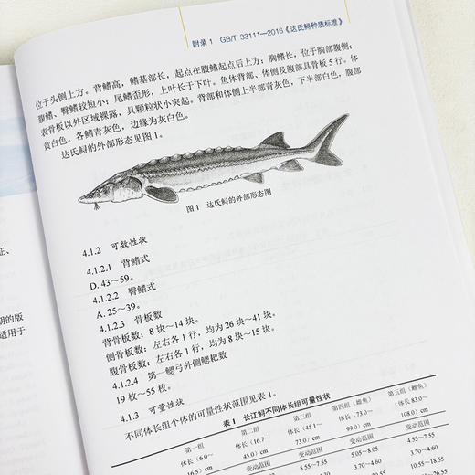 长江鲟保护生物学 杜浩等 9787030830913 商品图5