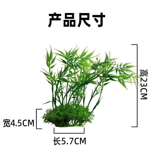 造景大师系列—唯美【新竹】 随手一放即可绽放唯美！ 商品图2