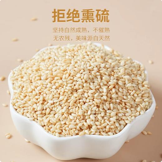 【YMHR】熟白芝麻  高营养 商品图1